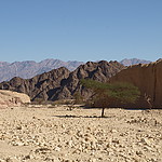 desert_near_Eilat_2.jpg