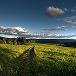 07-07-2034_P7072368-1-Schwarzwald.jpg