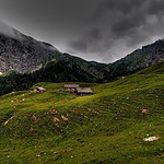 07-25-1515_P7253665-OberAlm-1024.jpg