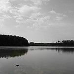 jezioro_Spychowskie.jpg
