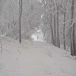 na szlaku, Beskid lski