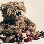 Teddy_Bear_small.jpg
