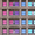city_of_colours.jpg
