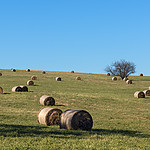 Bieszczady20150024-28229kol.jpg