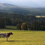 Tatry20210031kol.jpg